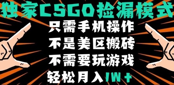CSGO自动捡漏项目，最新独家玩法，不是美区搬砖，不需要了解和玩游戏，新手小白轻松月入1W+【揭秘】,速发云资源网