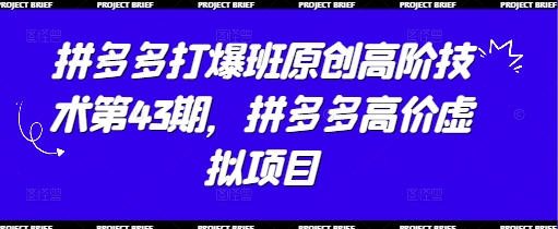 拼多多打爆班原创高阶技术第43期，拼多多高价虚拟项目,速发云资源网