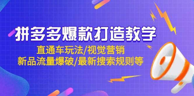 （14681期）拼多多爆款打造教学：直通车玩法/视觉营销/新品流量爆破/最新搜索规则等,速发云资源网