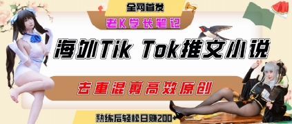 海外tiktok小说推文暴力项目，高停留率，高转化率，上手后一天搞顿饭钱不是问题,速发云资源网