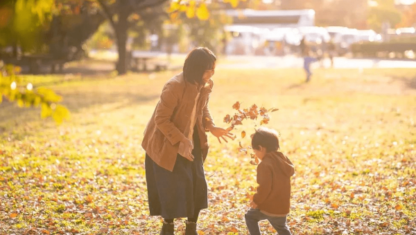 智能交通十大创新解决方案,速发云资源网