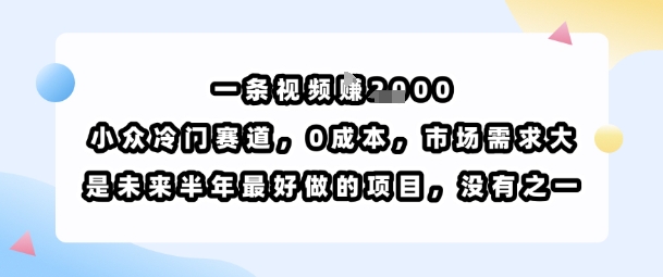 一条视频挣1k，小众冷门赛道，0成本，市场需求大，是未来半年最好做的项目，没有之一,速发云资源网