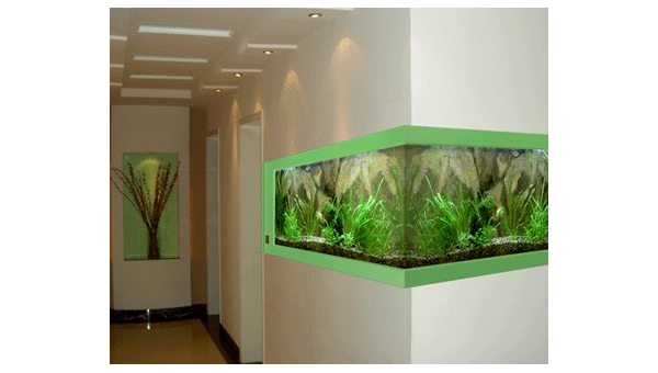 客厅放置龙鱼缸对风水好吗？,速发云资源网