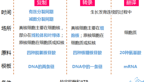 JavaScript 模块化开发中的 Rollup 打包知识点配置,速发云资源网