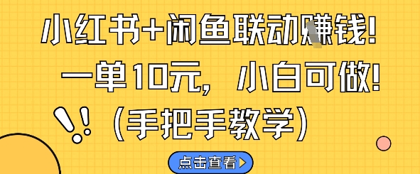 小红书+闲鱼联动挣钱，一单10元，小白可做,速发云资源网