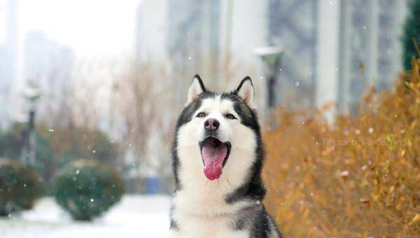 家里大门用铝合金材质风水如何,速发云资源网