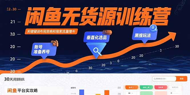 闲鱼无货源训练营：账号准备养号/垂直化选品/黑搜玩法，0基础30天盈利指南,速发云资源网