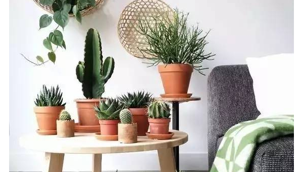 家中摆放木器的风水作用,速发云资源网