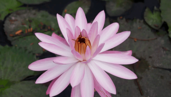 十大职场压力管理的实用技巧,速发云资源网