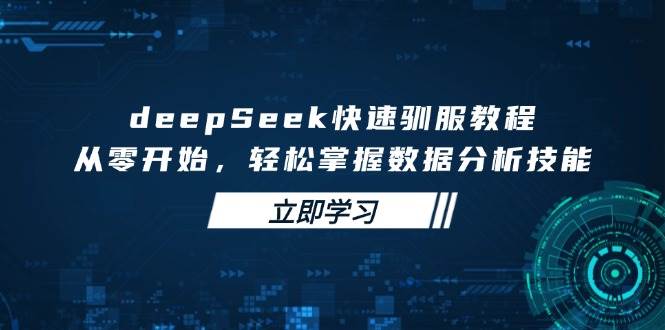 （14536期）deepSeek快速驯服教程，从零开始，轻松掌握数据分析技能,速发云资源网