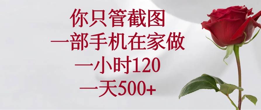 （14248期）你只管截图，一部手机在家做，一小时120，一天500+,速发云资源网