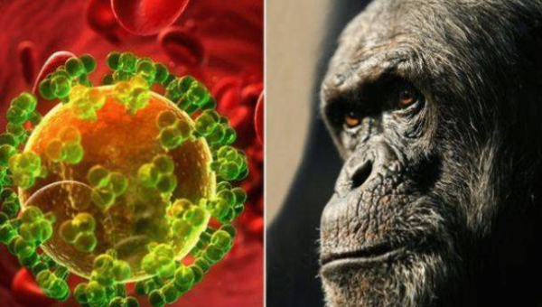 linux excel函数怎么传数组,速发云资源网