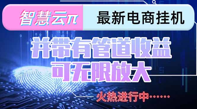 智慧云π电脑挂机单机每天收益300—500+ 并带有团队管道收益 可无限放大,速发云资源网