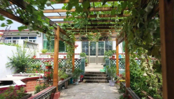 庭院里建葡萄长廊风水好吗,速发云资源网