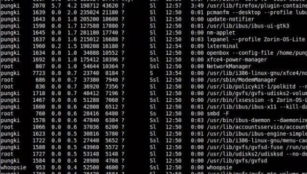 linux进程使用命令,速发云资源网