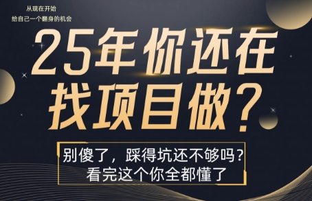 25年，你还在疯狂的找项目吗？别傻了，看完这个你都懂了【揭秘】,速发云资源网