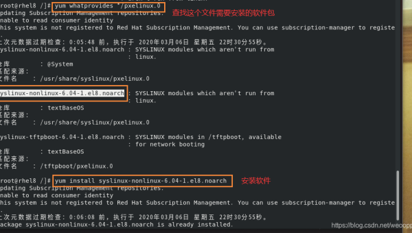 为何 Linux 系统无法挂载 NFS 共享？,速发云资源网