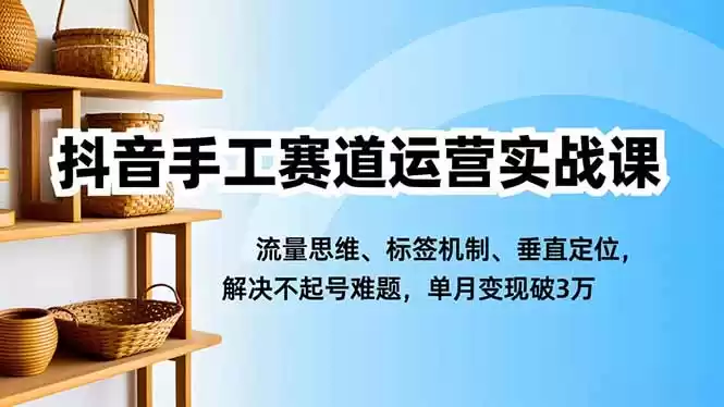 抖音手工赛道运营实战课，流量思维、标签机制、垂直定位，解决不起号难题，单月变现破3万,速发云资源网