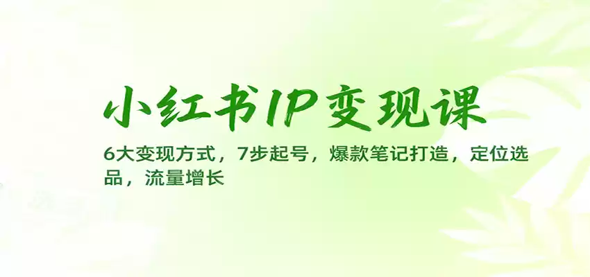 小红书IP变现课：6大变现方式，7步起号，爆款笔记打造，定位选品，流量增长,速发云资源网