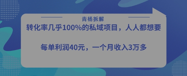 转化率最高的私域项目，每单利润40-50米，月入过1w,速发云资源网
