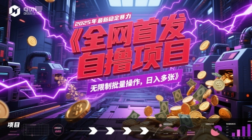 全网首发，2025年最新稳定暴力全自动自撸项目，无限制批量操作，日入多张【揭秘】,速发云资源网