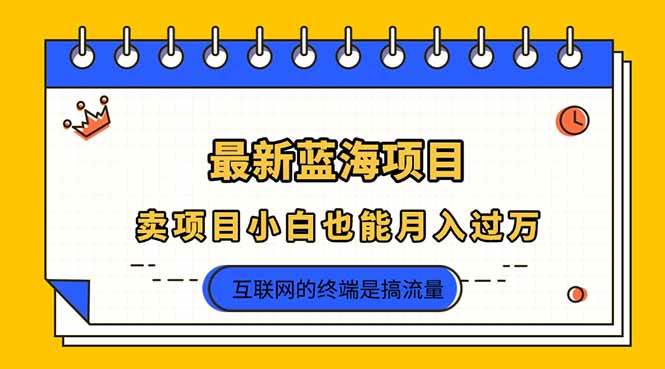 （14289期）2025年最新蓝海项目，卖项目小白也能月入过万,速发云资源网