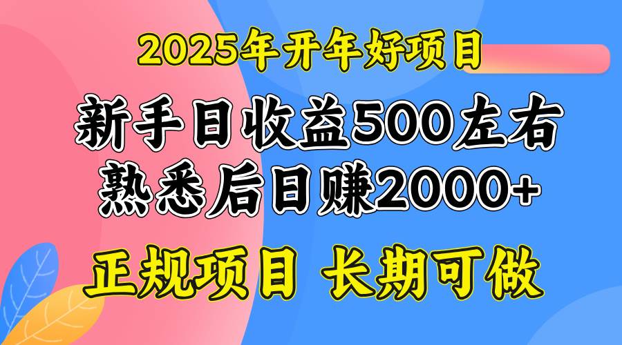 （14076期）2025开年好项目，单号日收益2000左右,速发云资源网