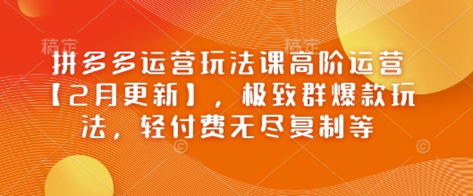 拼多多运营玩法课高阶运营【2月更新】，极致群爆款玩法，轻付费无尽复制等,速发云资源网