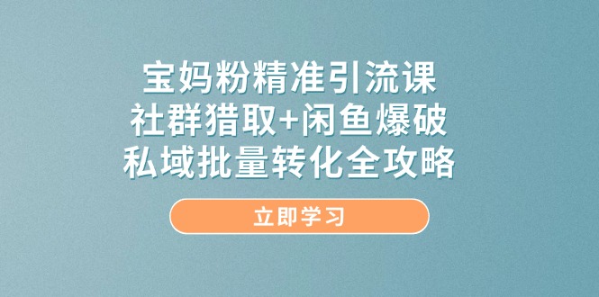 （14820期）宝妈粉精准引流课，社群猎取+闲鱼爆破，私域批量转化全攻略,速发云资源网