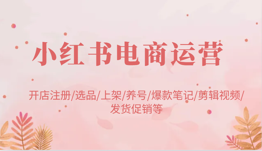 小红书电商运营：开店注册/选品/上架/养号/爆款笔记/剪辑视频/发货促销等,速发云资源网