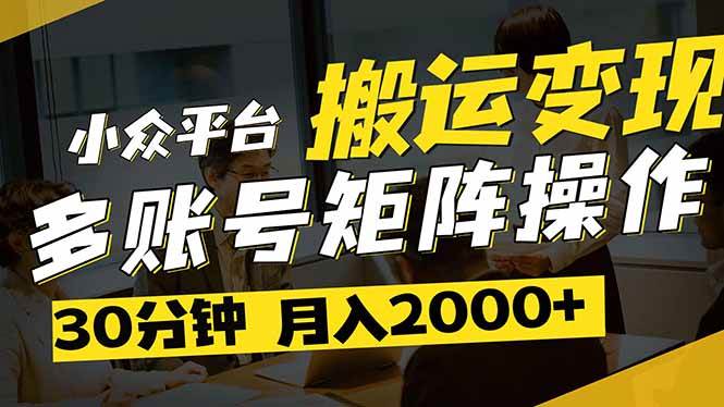 （14288期）得物平台变现新蓝海！无脑复制热门视频，多账号同步运营，每天半小时躺…,速发云资源网