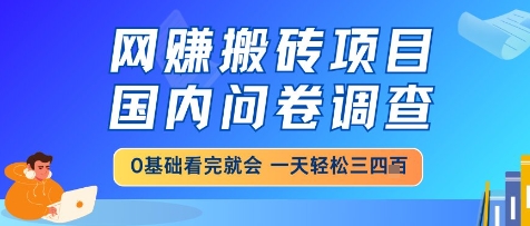 网创搬砖项目，国内问卷调查，小白轻松上手，一天三四张的也不难，干就完了【揭秘】,速发云资源网