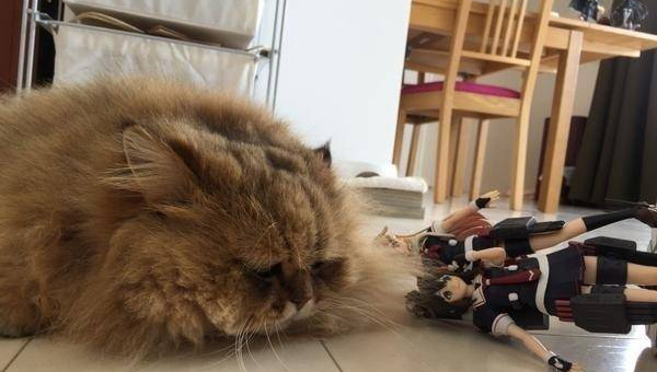 书房摆加湿器风水好吗,速发云资源网