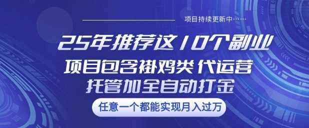 25年推荐这10个副业项目包含褂鸡类、代运营托管类、全自动打金类【揭秘】,速发云资源网