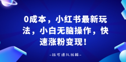 0成本，小红书最新玩法，小白无脑操作，快速涨粉变现,速发云资源网