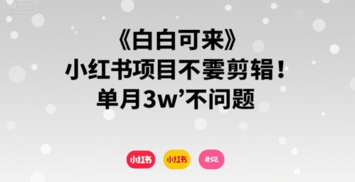 小白可来 小红书项目不需要剪辑 单月3w不是问题,速发云资源网