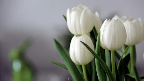 大数据联邦学习技术的发展前景,速发云资源网