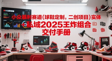 小众暴利赛道(球鞋定制，二创项目)实体+私域2025王炸组合 交付手册,速发云资源网