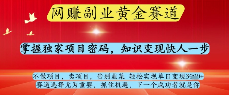 网创副业黄全赛道，掌握独家项目密码，知识变现快人一步，告别韭菜轻松实现单日变现1k+【揭秘】,速发云资源网