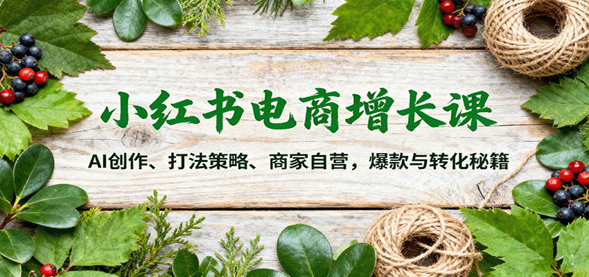 小红书电商增长课：AI创作、打法策略、商家自营，爆款与转化秘籍,速发云资源网