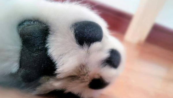 夫妻相处十大幸福秘诀,速发云资源网