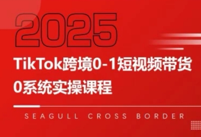 大亿老师·TikTok跨境0-1短视频带货,速发云资源网