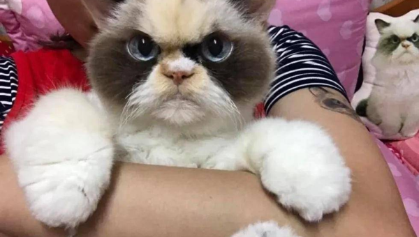 梦见在一个全是冰雕的水晶宫生活,速发云资源网