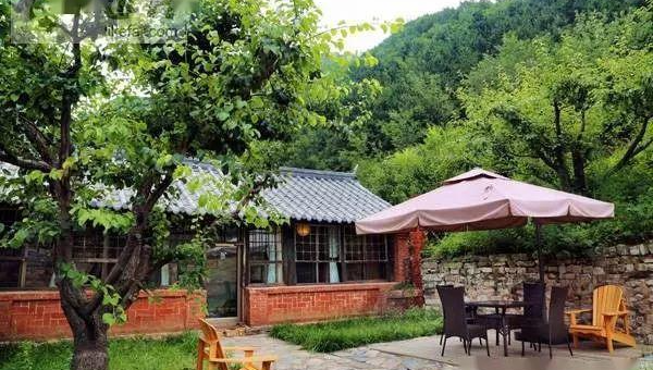 院子里种桂花树风水好吗,速发云资源网