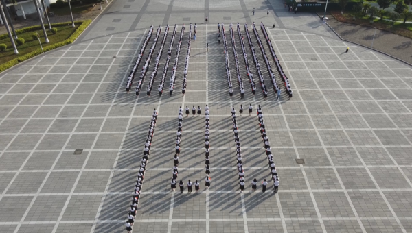 编程工具的更新与升级，保持技术领先,速发云资源网