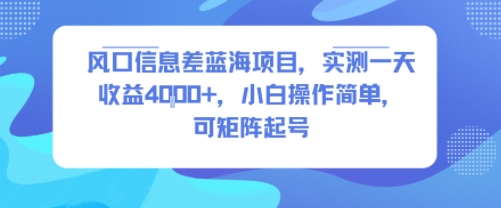 风口信息差蓝海项目，实测一天收益4k+，小白操作简单，可矩阵起号,速发云资源网