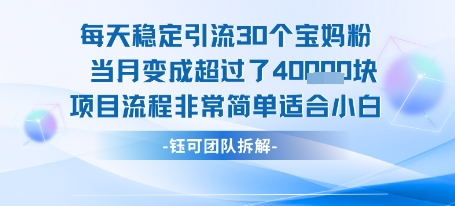 每天稳定引流30个人 当月变成超过了4个W项目流程非常简单适合小白,速发云资源网