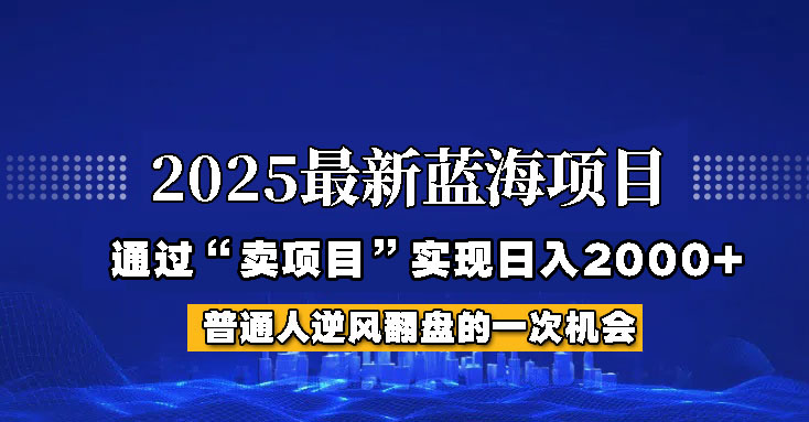 2025年蓝海项目，如何通过“网创项目”日入2000+,速发云资源网