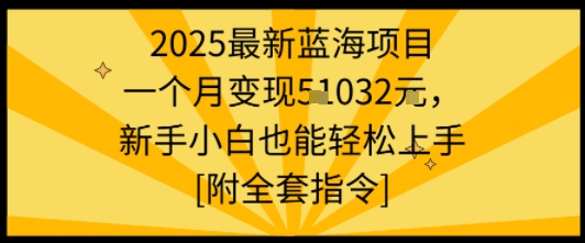2025最新蓝海项目一个月变现1w+新手小白也能轻松上手【附全套指令】,速发云资源网