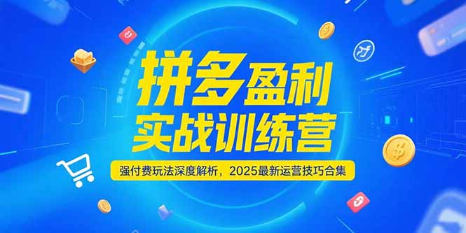 拼多多盈利实战训练营，强付费玩法深度解析，2025运营技巧合集-更新6月,速发云资源网